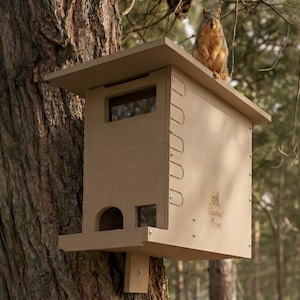 May include: A light brown wooden squirrel house with a rectangular design, mounted on a tree. The house has a small window and a round entrance. A squirrel sits on top of the house. The words "Squirrel Box" are printed on the side.