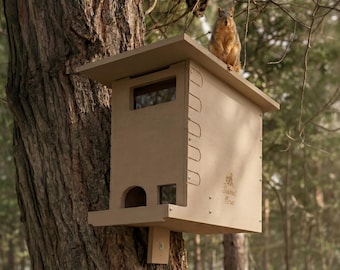 Squirrel Camera Capable Box The Sentinel