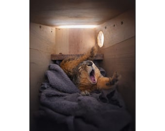 Emma Wakes Satin Posters (210gsm)