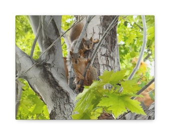 Canvas Wall Art - Two Curious Squirrels Staring from a Tree