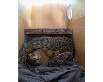 Sleeping Emma Satin Posters