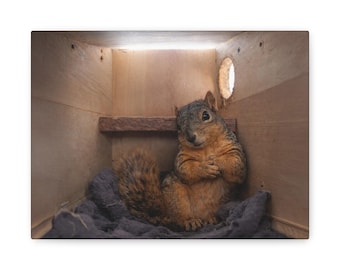 Emmas Shelter Matte Canvas, Stretched, 1.25