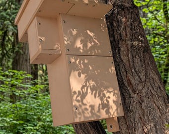 Squirrel Camera Capable Box The Hightower
