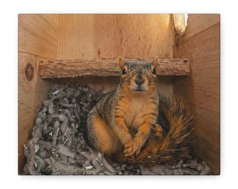 Yoga Emma Matte Canvas, Stretched, 1.25