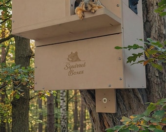 Squirrel Camera Capable Box The Watchtower Drey