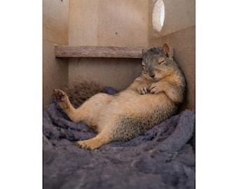 Resting Emma Satin Posters