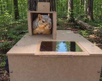 Camera Capable Squirrel House, Composite Nesting Box with Sunroof, Roof Exit Ladder