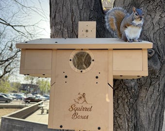 Twin Tails Lodge Squirrel Nesting Box: Composite, Dual Entrance, Predator Protection