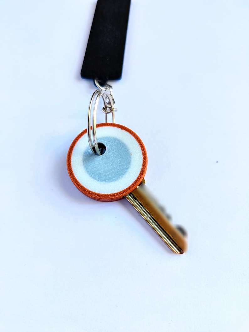 May include: A key with a decorative, round head featuring a light blue and white design, framed by a brown border. The key is attached to a silver keyring and a black lanyard.