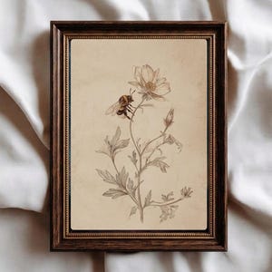 May include: A framed botanical print depicting a bee on a flower, rendered in a detailed, vintage style. The print has a cream-colored background and is set within a brown wooden frame.