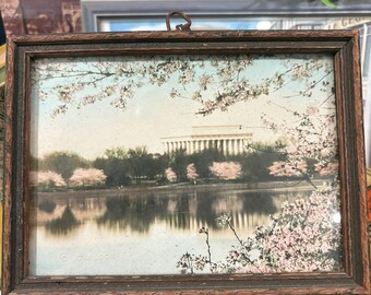 Vintage photo colorée à la main de scène de fleurs de cerisier de Washington DC