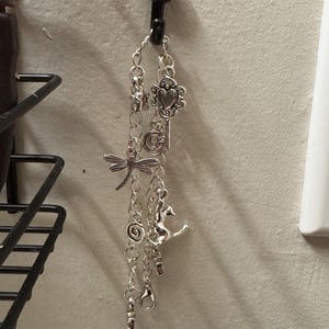 May include: Silver charm bracelet with various dangling charms, such as a heart-shaped lock, key, dragonfly, spiral, and seahorse. The bracelet hangs from a black hook on a neutral wall.