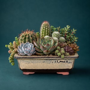 Cactus & Succulent Ceramic Bonsai Pot Rectangular Vintage Large Heavy Duty 12"Glaxed Drip Glaze Preowned Japenese Style Shallow Footed