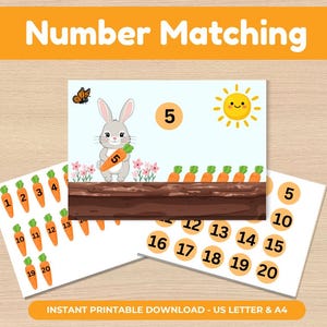 以下が含まれることがあります： 「Number Matching」のテキストが入った、印刷可能な教育ゲーム。このゲームには、数字の5が入ったニンジンを持った漫画のウサギ、他のニンジンと数字が描かれています。太陽と蝶も含まれています。