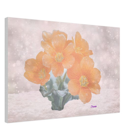 12 Canvas Print - Orange Flowers in Snow
