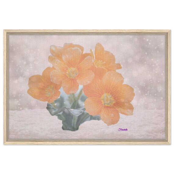 12 Framed Canvas - Bright orange flower in snow