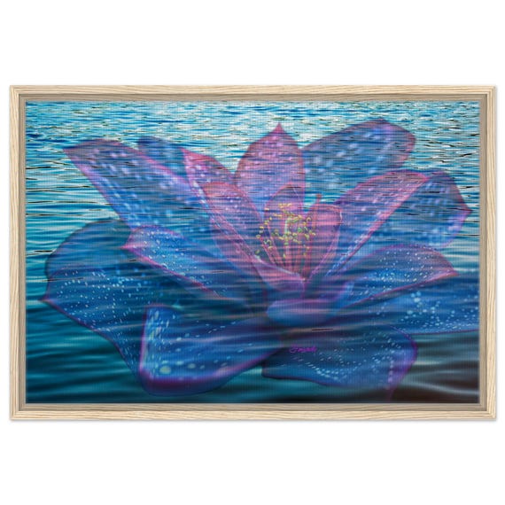11 Framed Canvas - Blue pink water lily