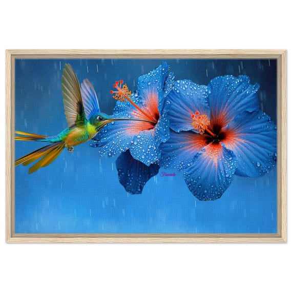 28 Framed Canvas - Hummingbird and Blue Hibiscus Flowers