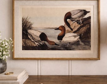Pochards on Linen in Beaded Frame