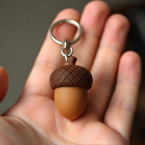 May include: A brown and tan acorn keyring. The top of the acorn is a dark brown with a textured, diamond pattern. The bottom is a smooth, tan colour. The keyring has a silver-coloured ring.
