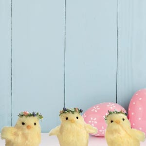 May include: Three yellow chicks with floral headbands stand in front of a blue wooden background. Two pink speckled Easter eggs are behind the chicks.