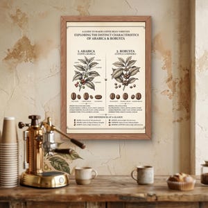 Peut inclure: Une affiche éducative encadrée intitulée A Guide to Major Coffee Bean Varieties, présentant des illustrations botaniques détaillées de plants de café Arabica et Robusta, des formes de grains et des tableaux comparatifs sur fond crème.