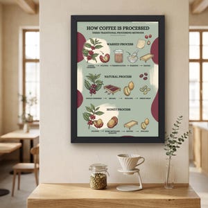 May include: A framed wall poster titled HOW COFFEE IS PROCESSED, featuring illustrations of the washed, natural, and honey processing methods. The chart displays coffee cherries, beans, and equipment with descriptive text on a light green background.