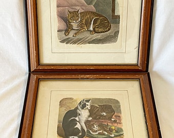 Victorian Cat Prints Framed - 2
