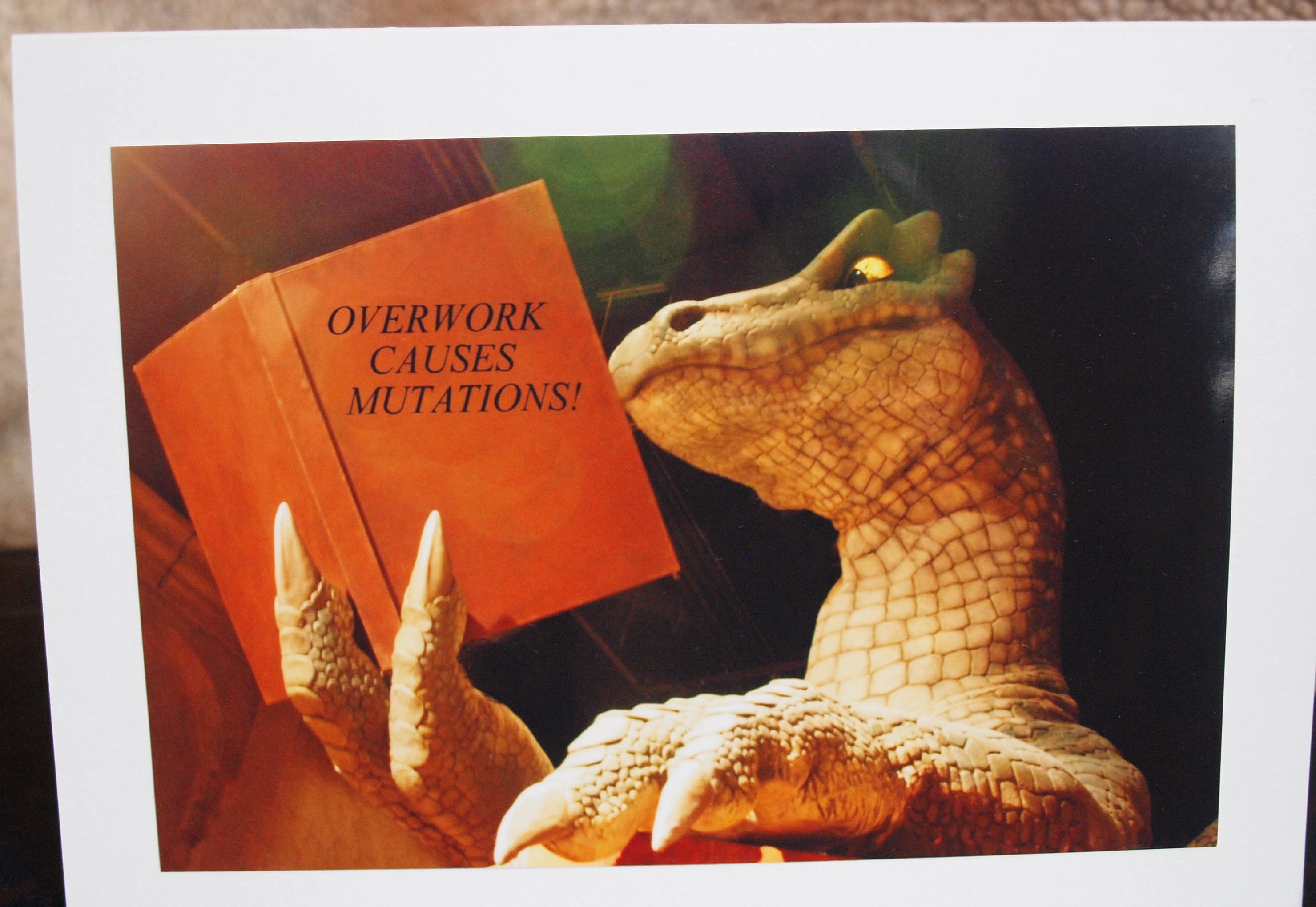 Dragon Birthday Card Humorous Card Cute Card Funny Card Etsy
