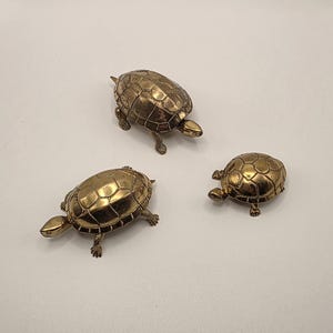 May include: Three brass turtle figurines of varying sizes, each featuring a polished metallic finish and a detailed shell pattern. The turtles are depicted in a walking stance with four legs and a head extending from the shell, showcasing a smooth, reflective surface texture throughout the set.
