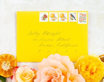 Handwritten Envelope Calligraphy | Modern Script, Delivery Address Only