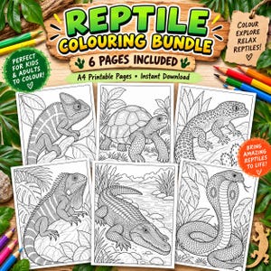 Puede incluir: Un paquete de colorear de reptiles con 6 páginas imprimibles A4 que contienen ilustraciones de líneas en blanco y negro de un camaleón, tortuga, gecko leopardo, iguana, cocodrilo y cobra, con el texto Reptile Colouring Bundle 6 Pages Included.