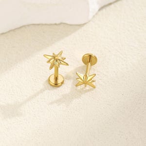 Könnte beinhalten: Zwei goldfarbene Ohrringe in Sternform. Ein Ohrring steht aufrecht und zeigt das Sterndesign auf einem Pfosten und einer runden Basis. Der andere Ohrring liegt flach, wobei das Sterndesign nach oben zeigt. Die Ohrringe befinden sich auf einer hellen Oberfläche.
