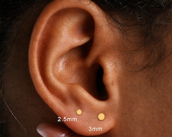 16g 18g 20g Titan Disc fadenlose Push Pin Labret, Kreis Ohrring mit flachem Rücken, Knorpel Tragus Helix Bolzen, kleiner Bolzen, Nasenstecker 5 mm-10 mm