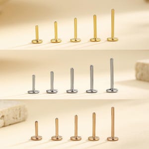 May include: An assortment of lip piercing studs in gold, silver, and rose gold. The studs are displayed in rows, with different lengths. Each stud features a flat, circular base and a straight post.