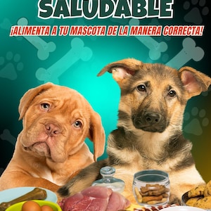 Pode incluir: Imagem promocional com dois cachorros e várias opções de comida para cães. O texto "ALIMENTACIÓN SALUDABLE" e "¡ALIMENTA A TU MASCOTA DE LA MANERA CORRECTA!" são exibidos em vermelho e branco. A imagem inclui carne crua, ração e comida cozida.