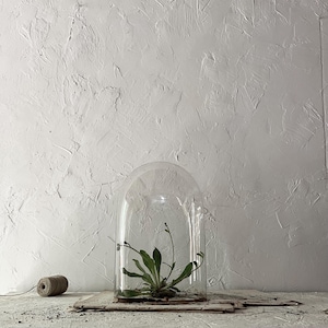 Antique French Display Dome