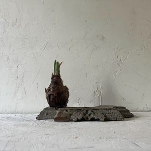 Antique Architectural Fragment