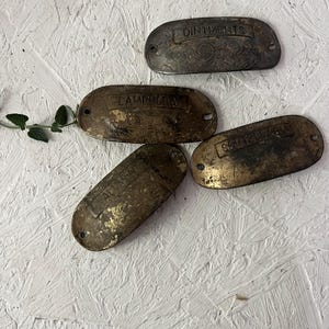 May include: Four antique brass oval labels with text. The labels read "Ointments", "Lamdora", "Scutellaria", and "Alba". The labels have a distressed finish and decorative scrollwork.