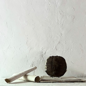 Large Turtle Shell on Stand