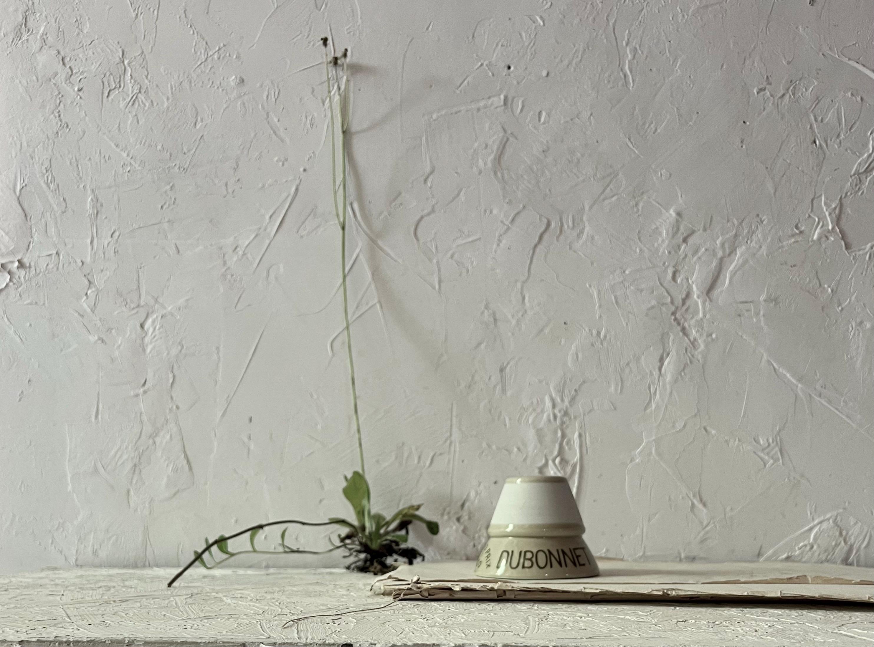 Antique Dubonnet French Ceramic Match Striker