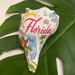 May include: A white seashell decorated with a map of Florida, the word "Florida" in red script, and illustrations of a sunset, dolphins, and tropical plants. The shell is resting on a large green leaf.