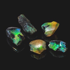 May include: Five raw opal gemstones with vibrant colors of green, blue, yellow, and black. The opals are rough-cut and have a natural, unpolished appearance. The gemstones are displayed against a black background.