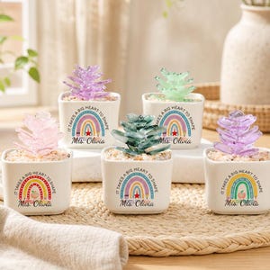 May include: Five square white ceramic planters, each containing a translucent, multi-layered succulent-shaped ornament. Each planter features a colorful rainbow graphic with the text "IT TAKES A BIG HEART TO SHAPE LITTLE MINDS" and "Ms. Olivia".
