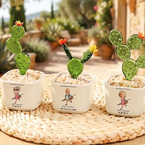 May include: Three glass cactus figurines in white square ceramic pots filled with small stones. Each pot features a cartoon illustration of a person with the text Goodbye Tension Hello Pension and a name: Emma, William, or Emma.