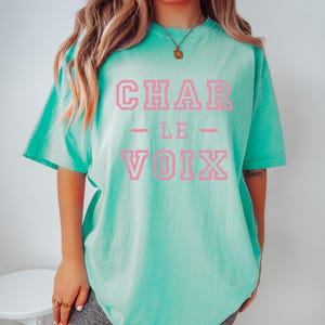 Charlevoix T Shirt Comfortcolors College Letters Charlevoix Michigan Charlevoix Shirt Charlevoix MI Tshirt Trip Summer Style Preppy Stuff