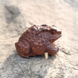 Può includere: Una dettagliata scultura di rospo in legno marrone con una superficie strutturata. Il rospo è scolpito con dettagli intricati, mostrando la sua pelle irregolare e le sue caratteristiche realistiche. La scultura è ambientata su uno sfondo neutro.