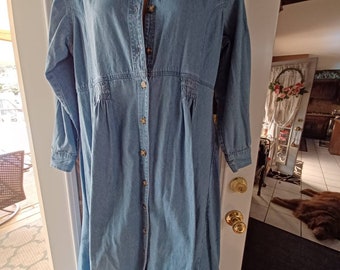 Fads Denim dress empire waist size 16