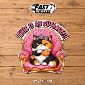 This Is An Outrage Sticker – Funny Cat Humor Vinyl Decal