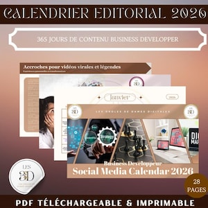 Calendrier Editorial 2026 Business Developer – Planning Réseaux Sociaux – Contenu Instagram & LinkedIn – Produit Digital PDF